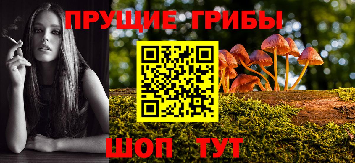 Псилоцибиновые грибы прущие грибы Павлово