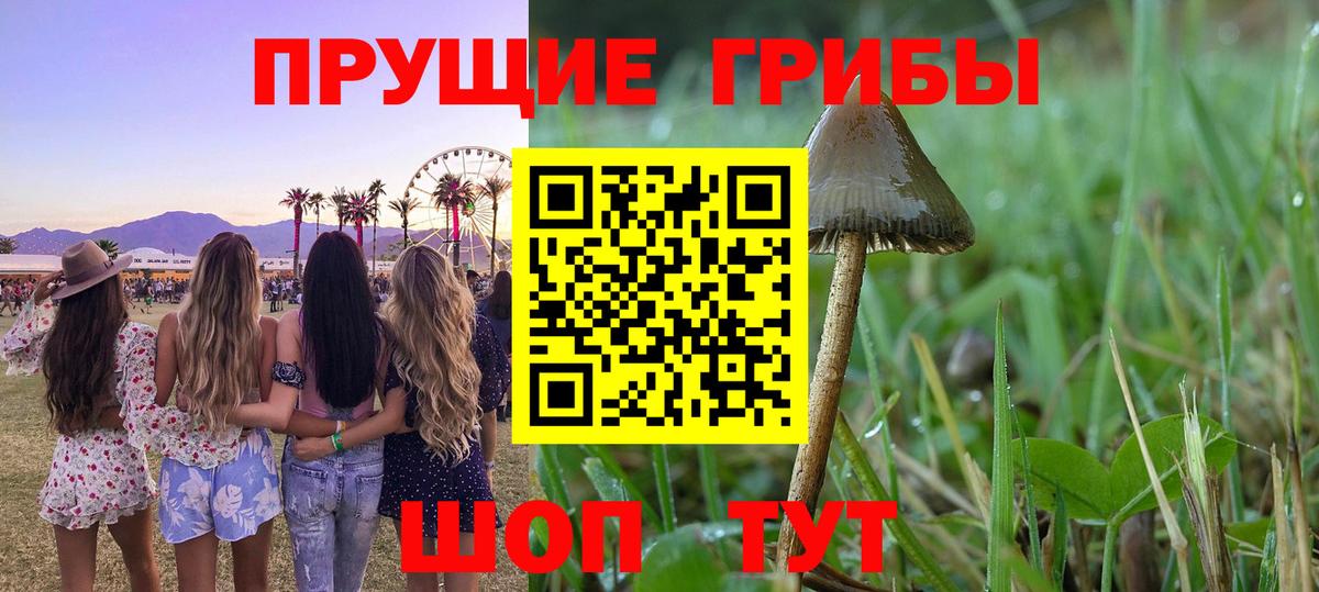 Галлюциногенные грибы мухоморы  Псилоцибиновые грибы ЛСД  Вход с VPN  Павлово 